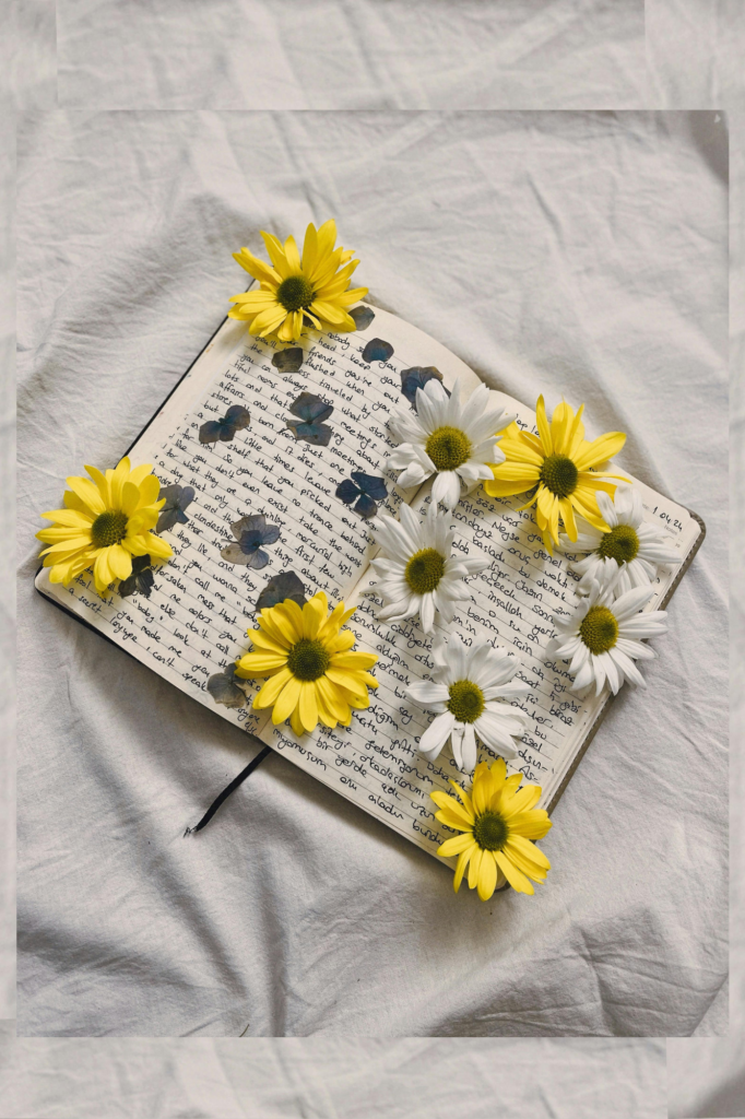 sonja's notebook